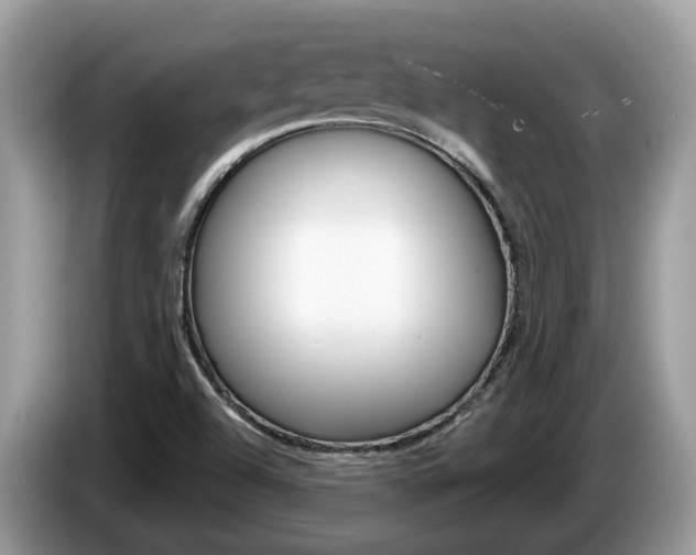 X0000087611504200704271051