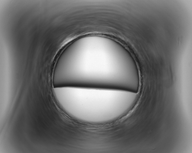 X0000087611505200704271051