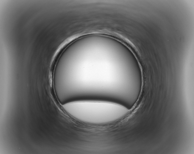 X0000087611509200704271051