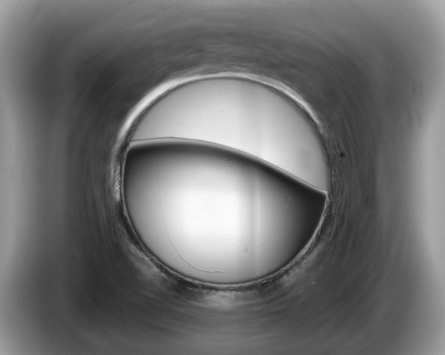 X0000087611510200704271051