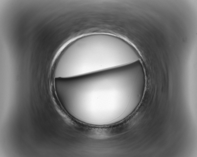 X0000087611511200704271051