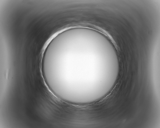 X0000087611512200704271052