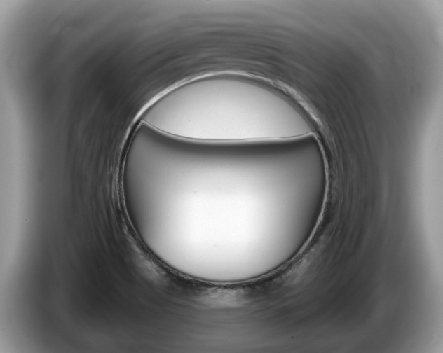 X0000087611513200704271052