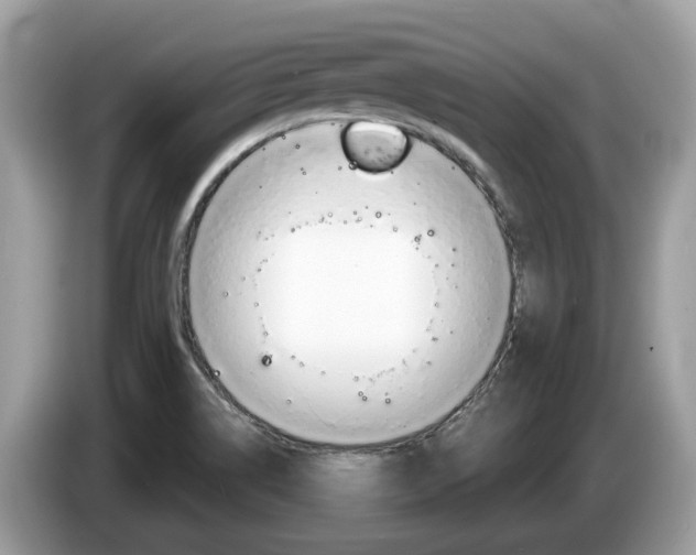 X0000087611514200704271052