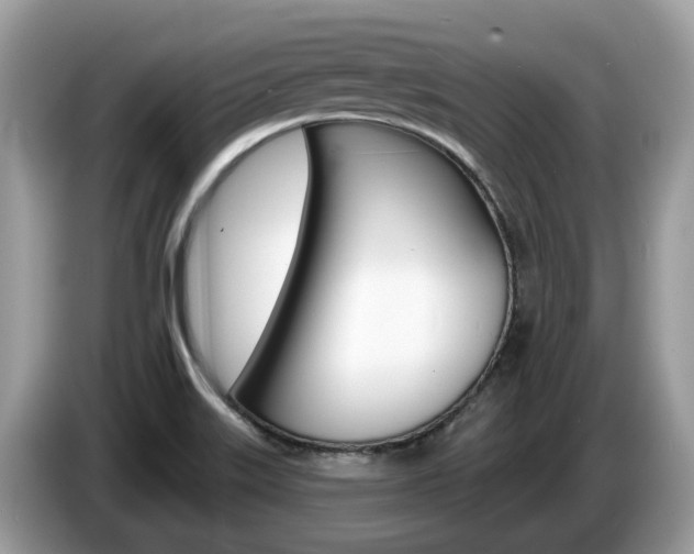 X0000087611515200704271052