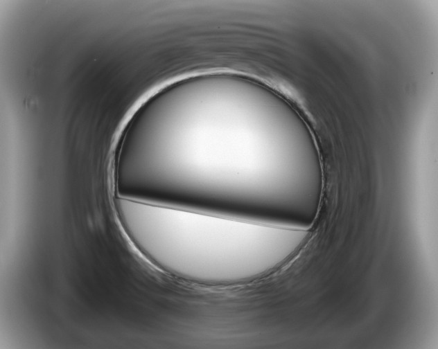 X0000087611516200704271052