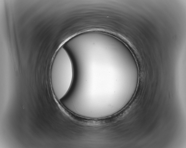 X0000087611521200704271052