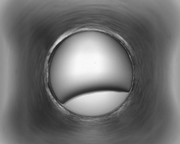 X0000087611522200704271052