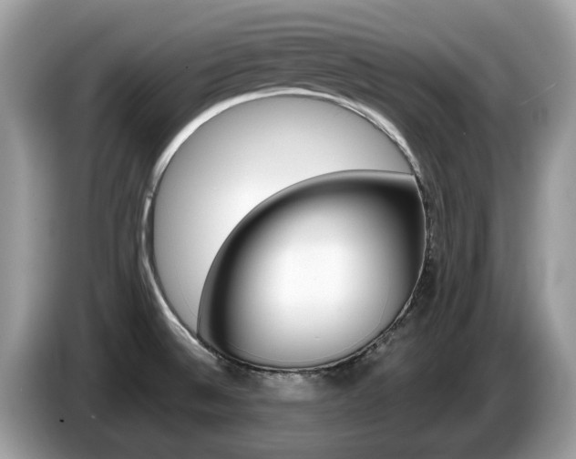 X0000087611524200704271052