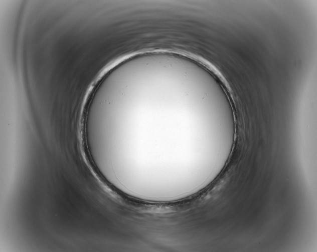 X0000087611525200704271052