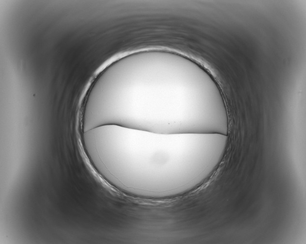 X0000087611526200704271052