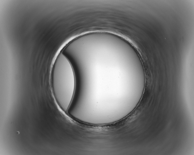X0000087611527200704271052