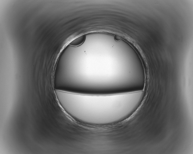 X0000087611529200704271052