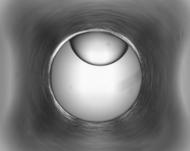 X0000087611532200704271052