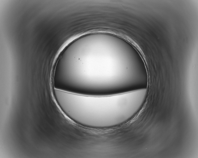 X0000087611533200704271052