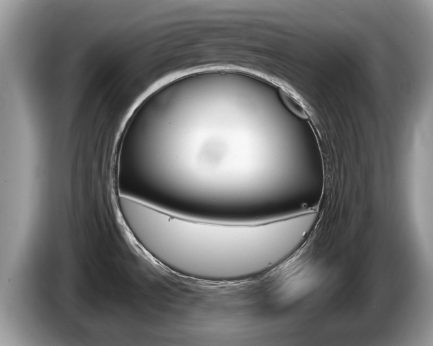X0000087611534200704271052