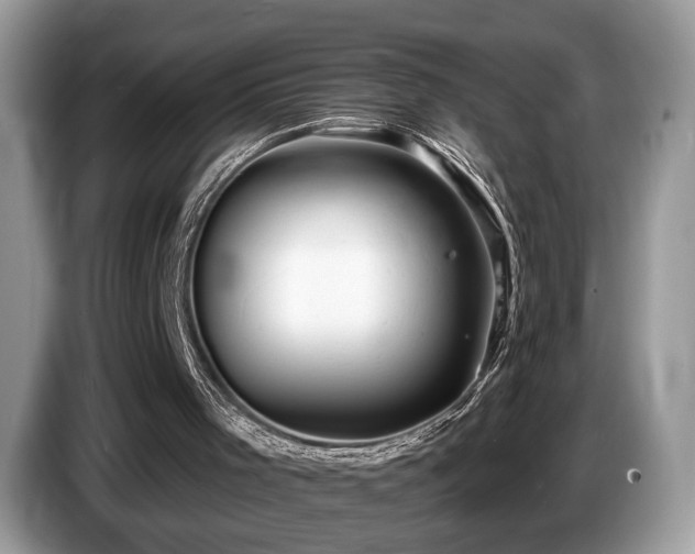 X0000087610001200704271349
