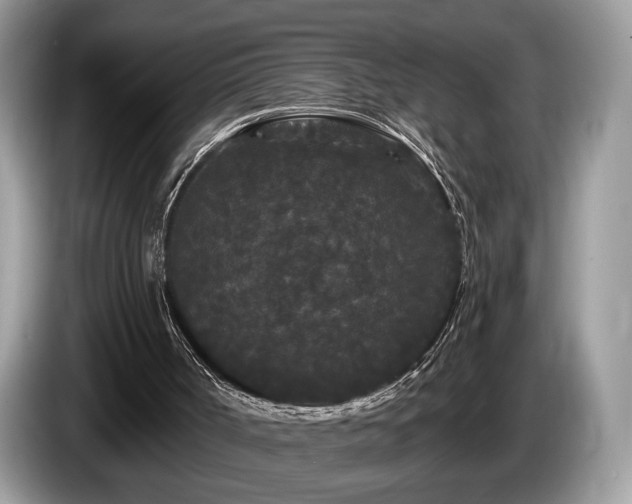 X0000087610002200704271349