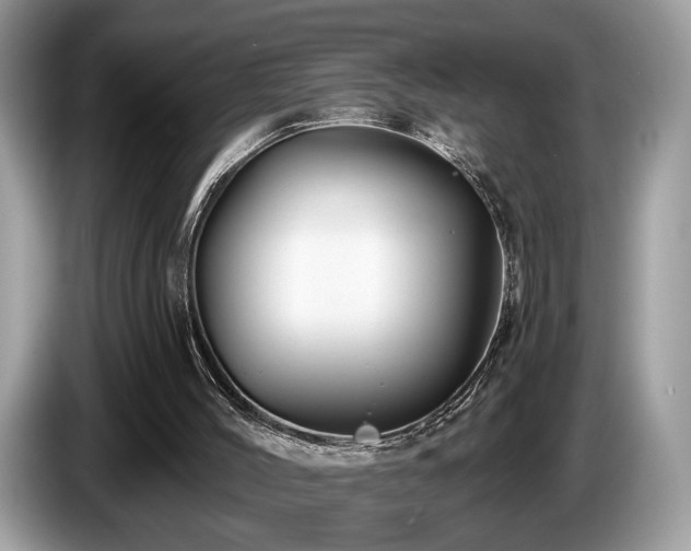 X0000087610004200704271349