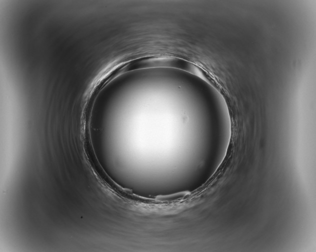 X0000087610005200704271349