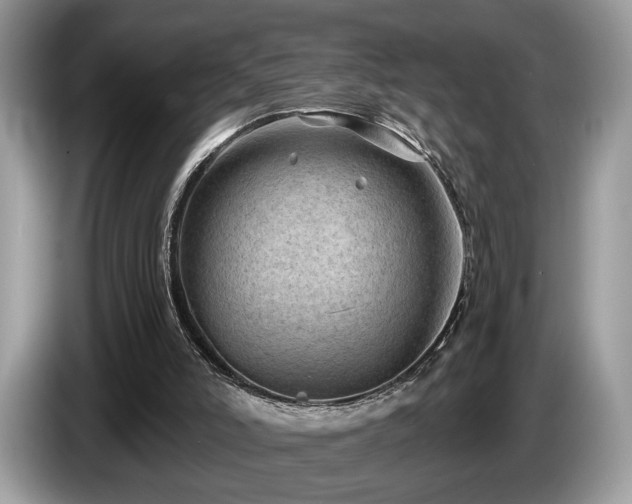 X0000087610006200704271349