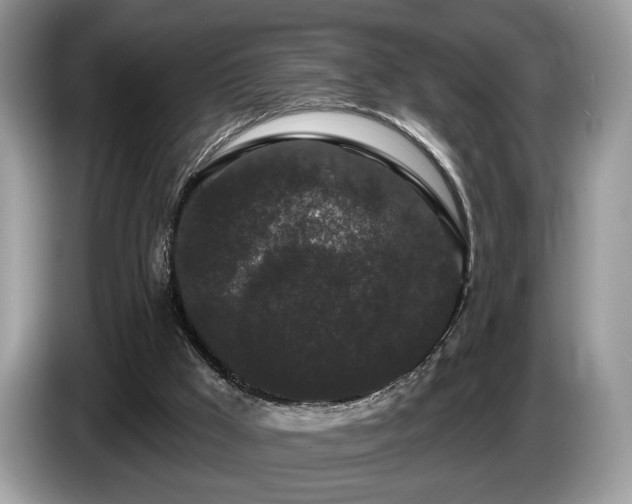 X0000087610009200704271349