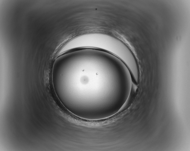 X0000087610010200704271349