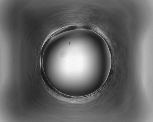 X0000087610011200704271349