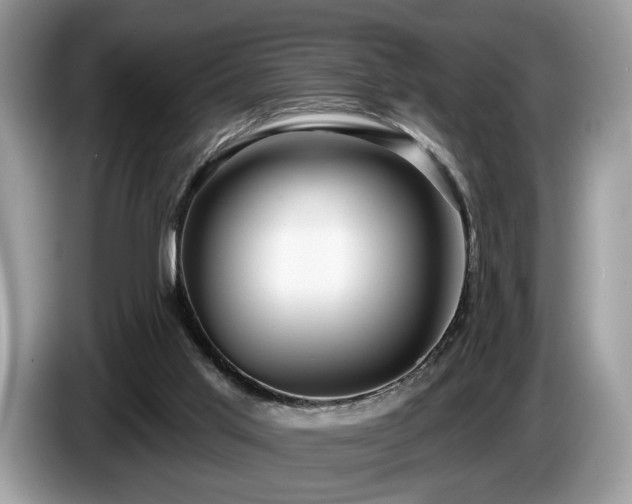 X0000087610013200704271349