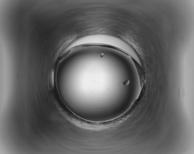 X0000087610014200704271349