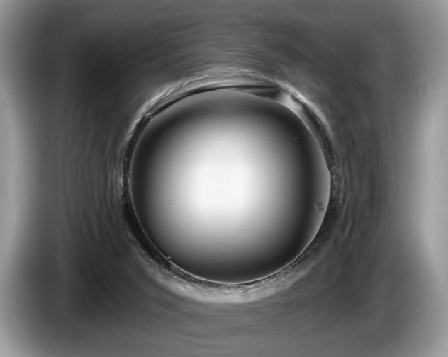 X0000087610015200704271349