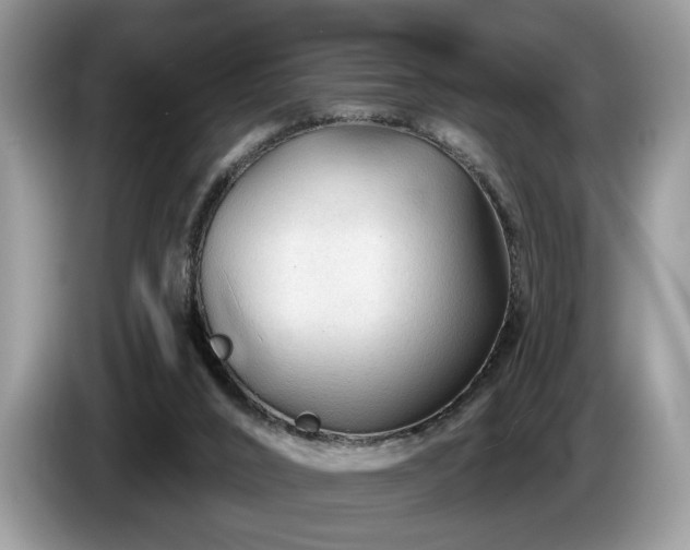 X0000087610016200704271349