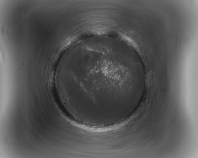 X0000087610018200704271349
