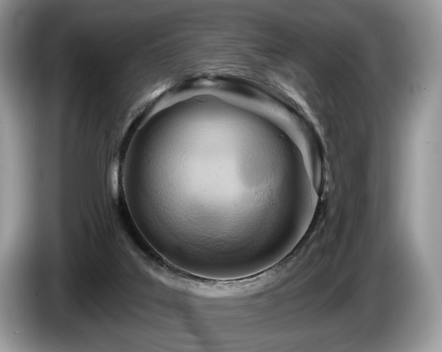 X0000087610019200704271349
