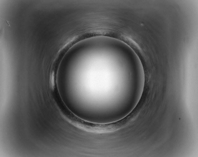 X0000087610020200704271349