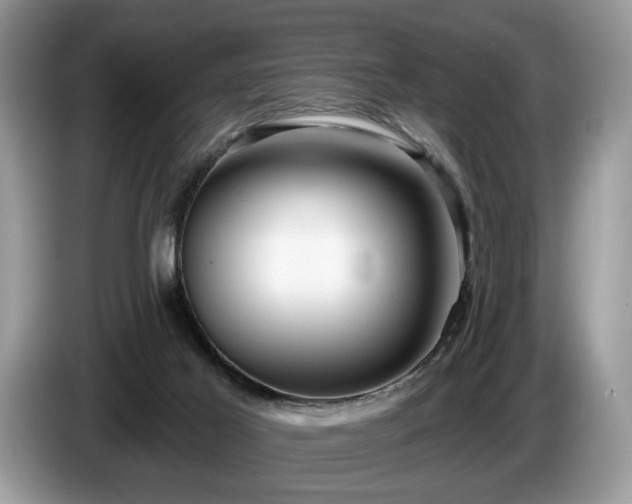 X0000087610021200704271349