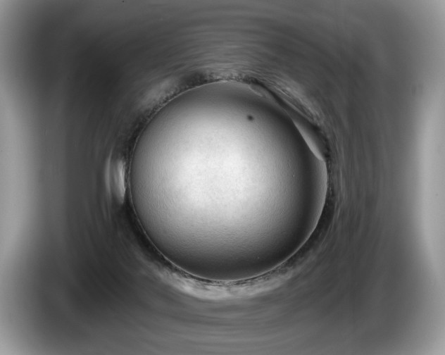 X0000087610022200704271349