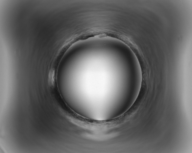 X0000087610024200704271348