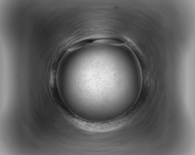 X0000087610026200704271348