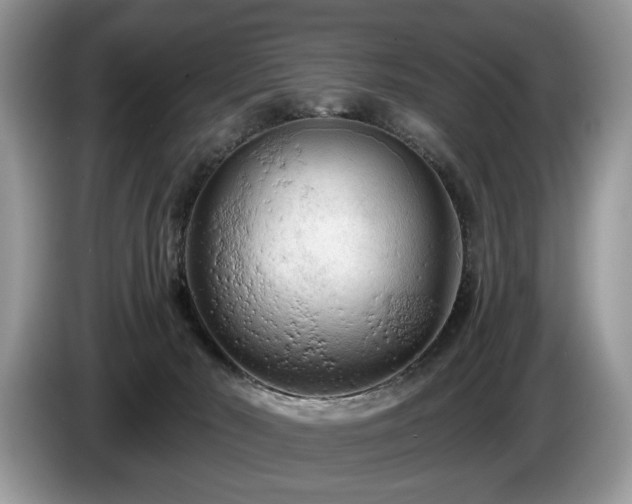 X0000087610030200704271348