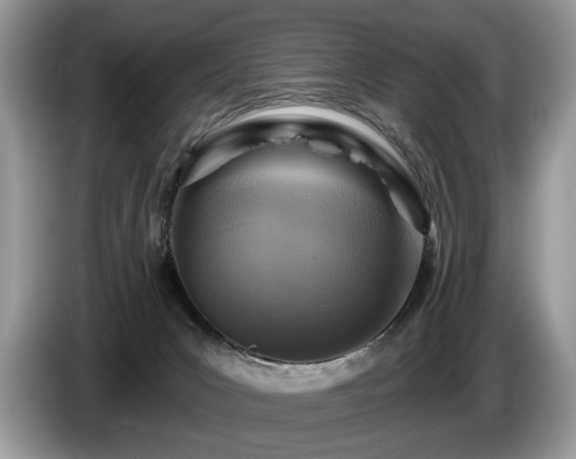 X0000087610031200704271348