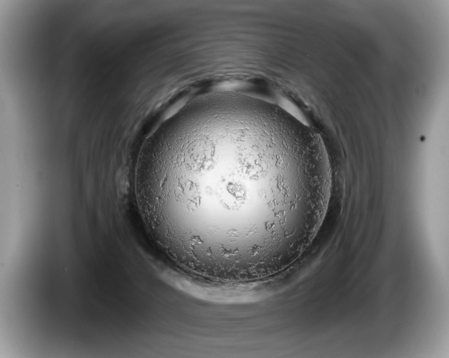 X0000087610032200704271348