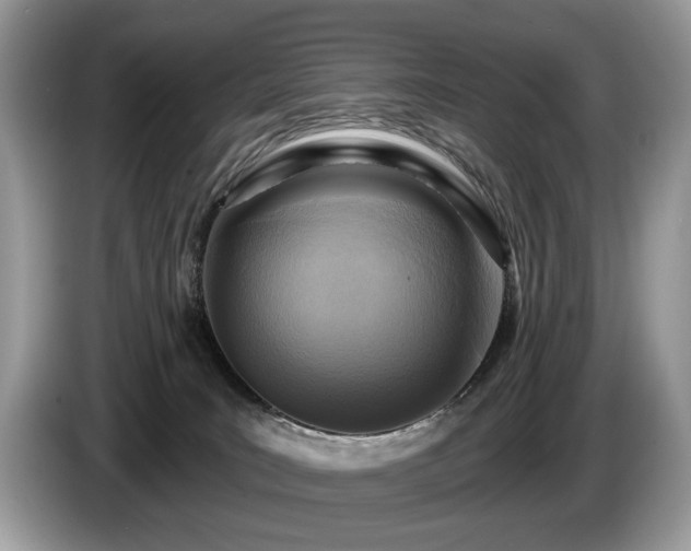 X0000087610035200704271348