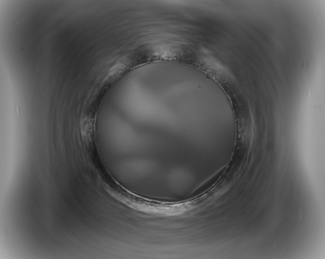 X0000087610036200704271348