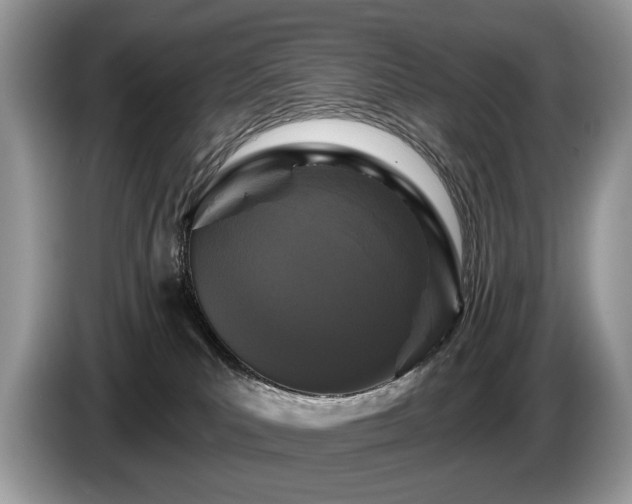 X0000087610039200704271348