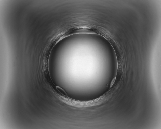 X0000087610043200704271348
