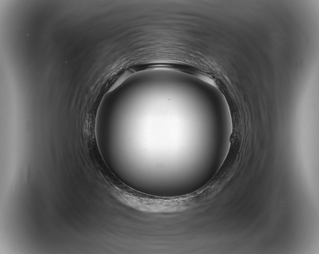 X0000087610044200704271348