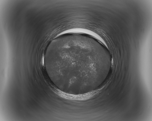 X0000087610046200704271348