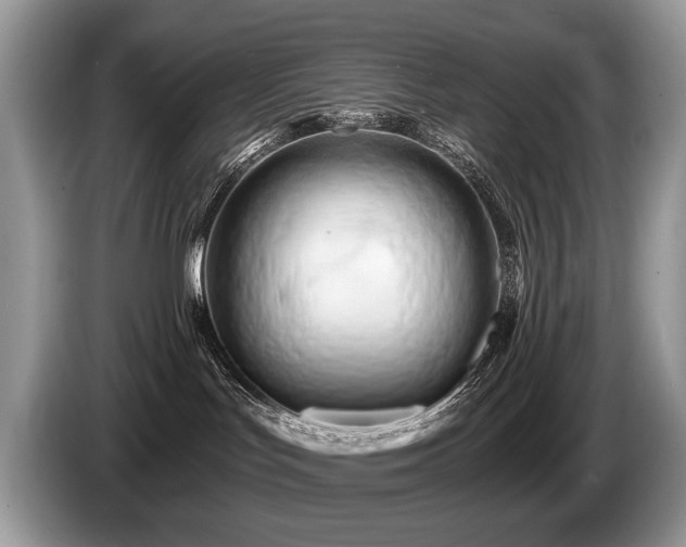 X0000087610047200704271348