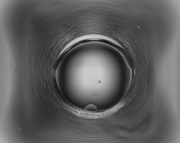X0000087610048200704271348